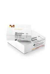 Immobilon-E Blotting Sandwiches