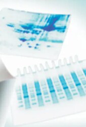 Immobilon-P PVDF Transfer Membranes MilliporeSigma Immobilon-P PVDF Membrane