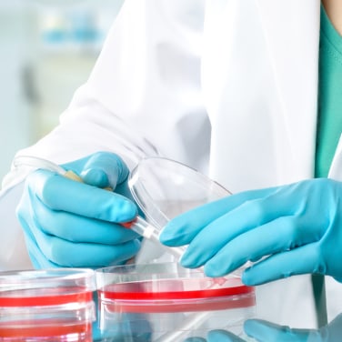 Specialized Plastics for Cell Therapy Research Specialized Plastics for Cell Therapy Research