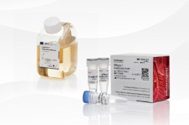 Support your initiatives with Gibco CTS NK-Xpander Medium and Invitrogen TrueCut HiFi Cas9 Protein.