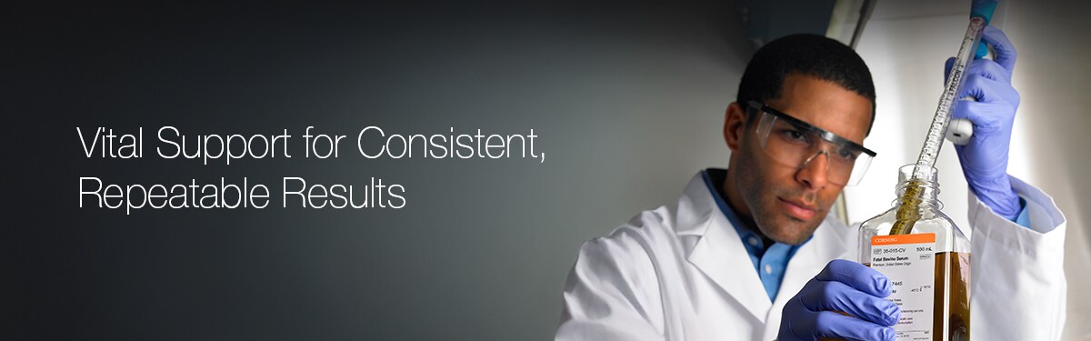 Vital Support for Consistent, Repeatable Results Vital Support for Consistent, Repeatable Results