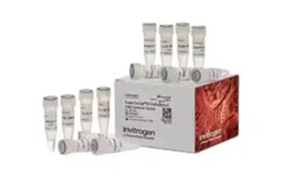 PCR-2894
