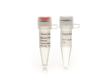 Nucleic Acid Research Nucleic Acid Research