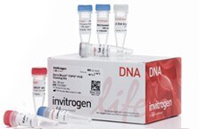 Molecular Biology Methods